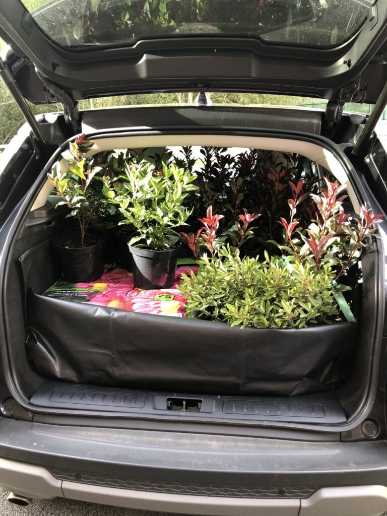 Overflowing car boot filled with shrubs and flowers after a spontaneous late-day garden centre visit, driven by ADHD time blindness and urgency to act.