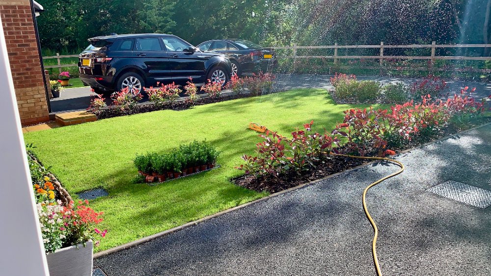 Complete front garden transformation done in one ADHD-fuelled evening, showing the impact of time blindness, hyperfocus, and impulsive planting...... It was worth it!